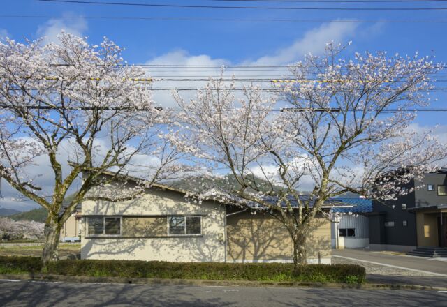 三寒四温の春、家族を健やかに包む「木の家」の心地よさ